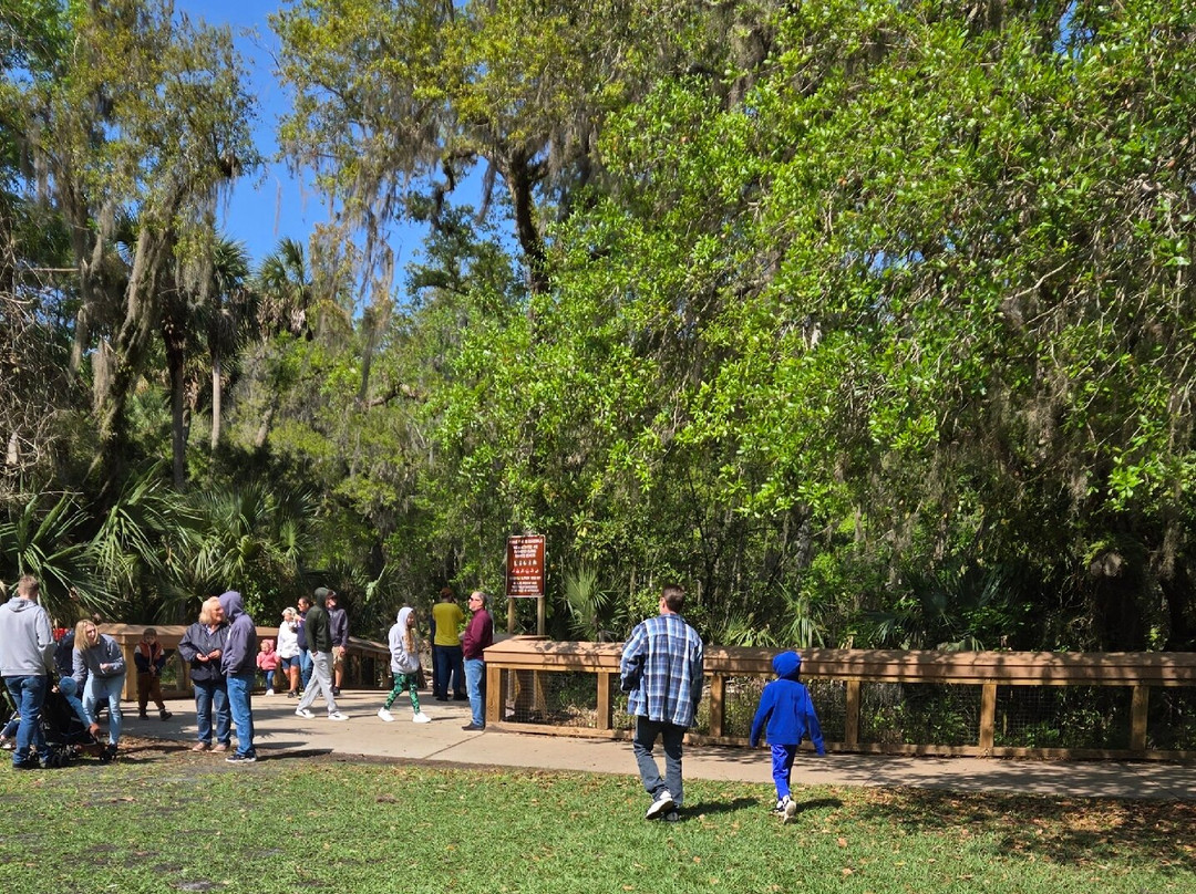 Blue Spring State Park-橙县必去景点