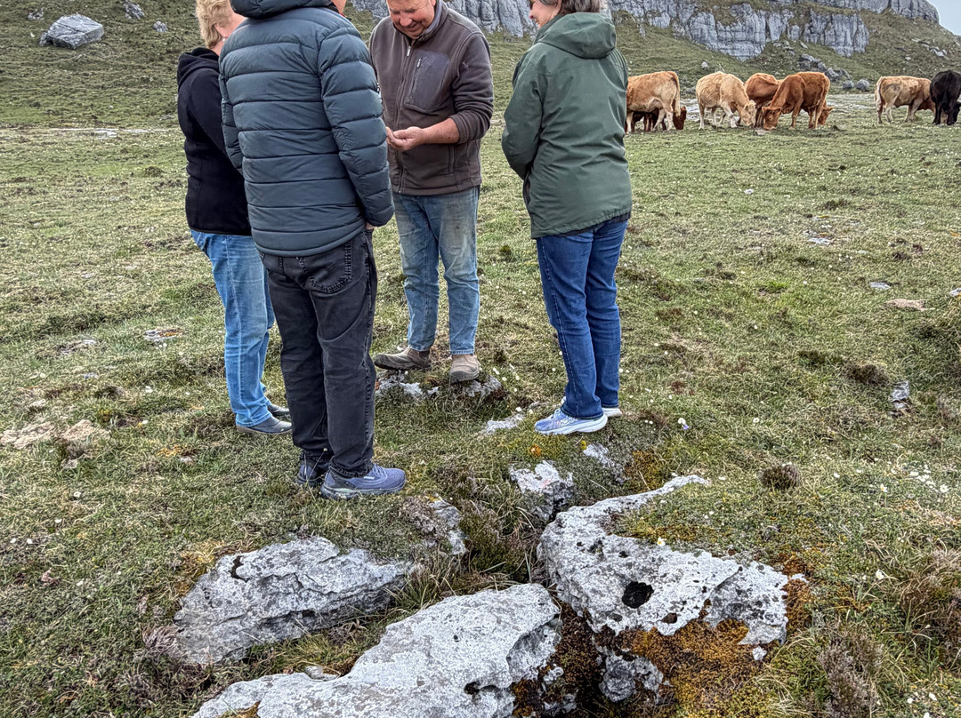 Burren Mountain Tours-Fanore必去景点