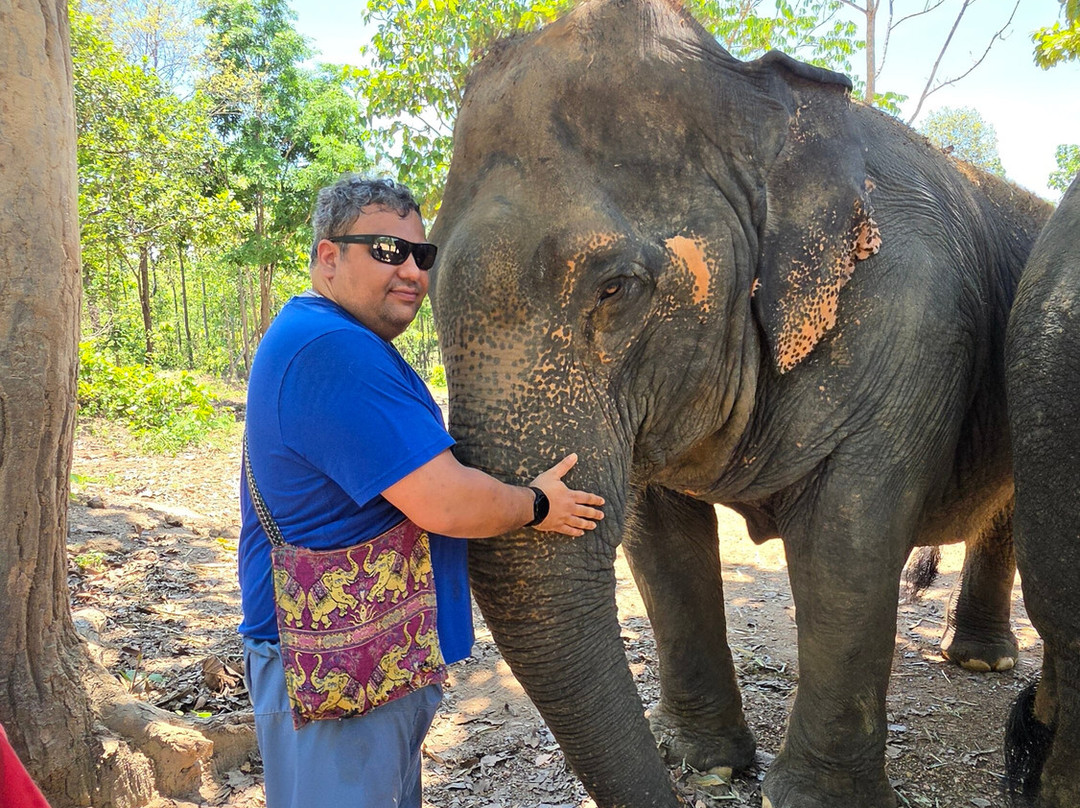 Maerim Elephant Sanctuary-夜林必去景点