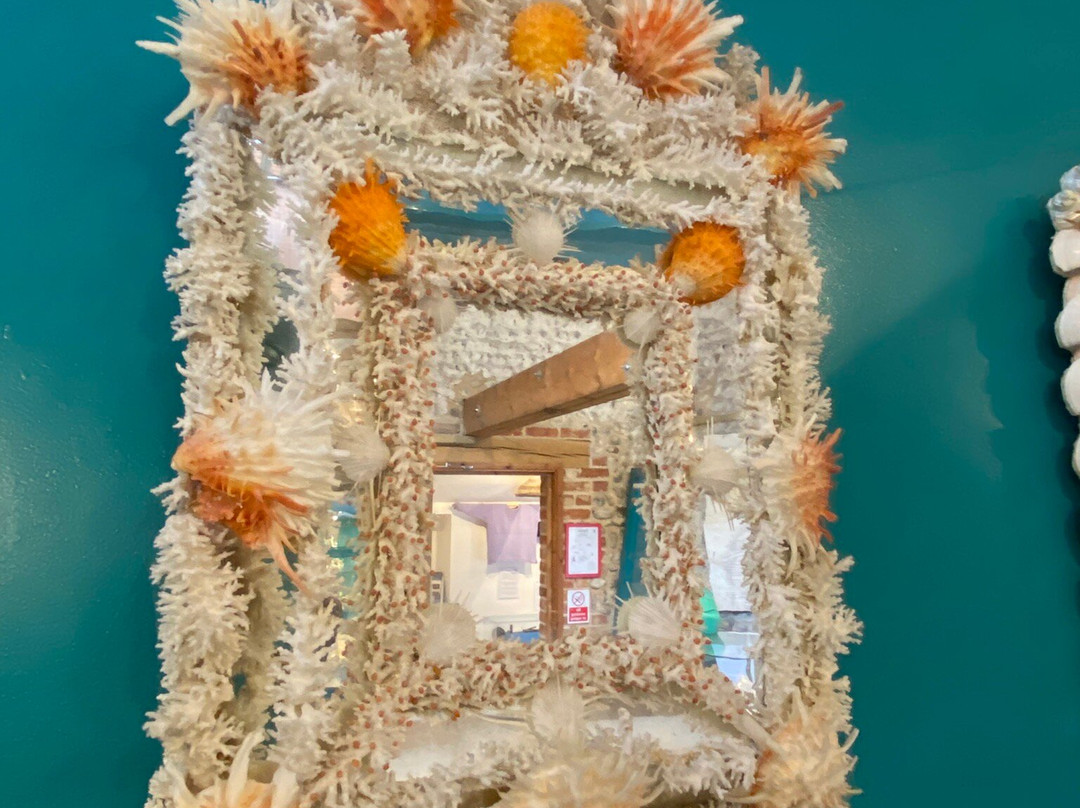Peter Coke Shell Gallery-Sheringham必去景点