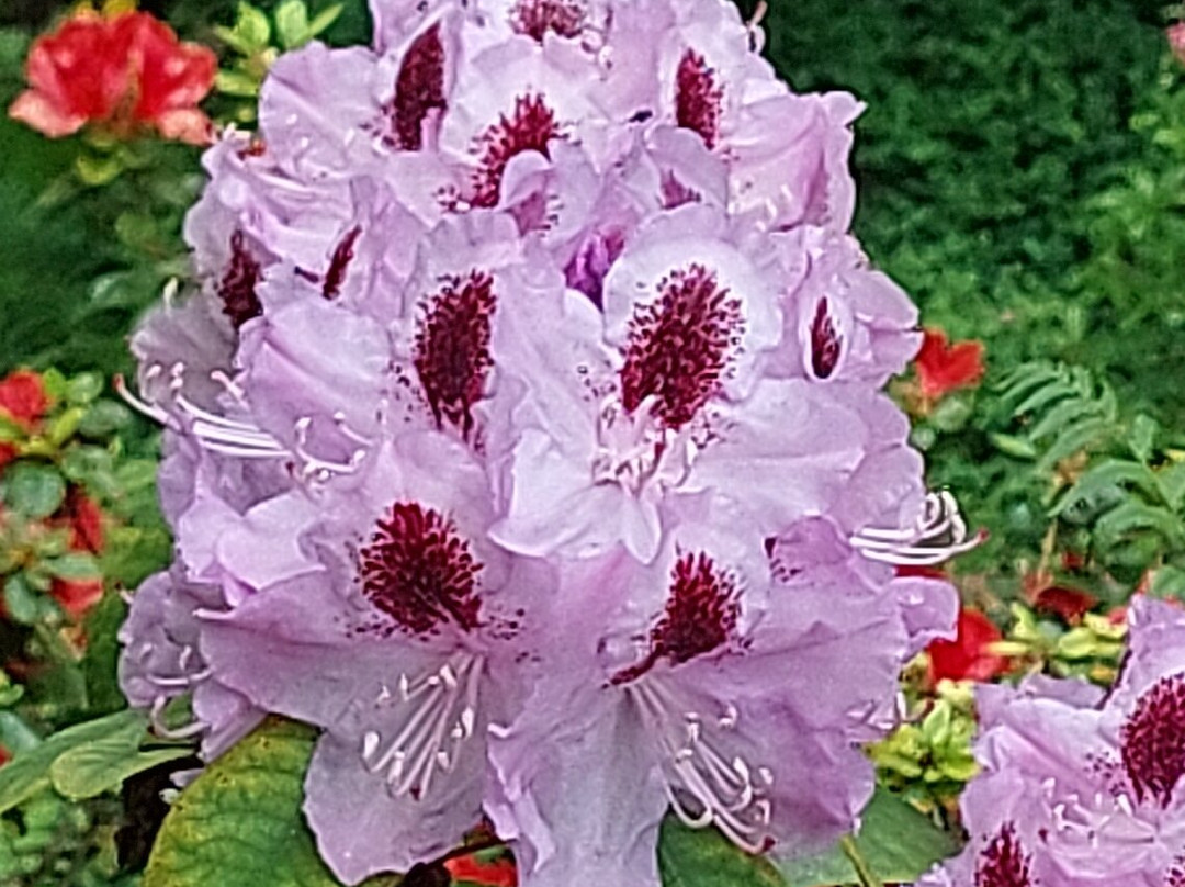 Brobury House Gardens and Cafe-赫里福德必去景点
