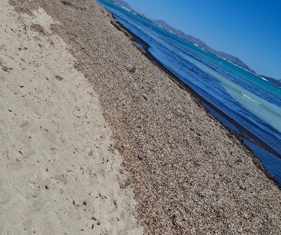 Playa de Ca'n Picafort-Ca'n Picafort必去景点