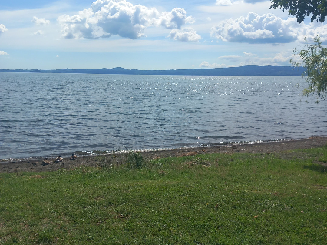 Lago di Bolsena-博尔塞纳必去景点