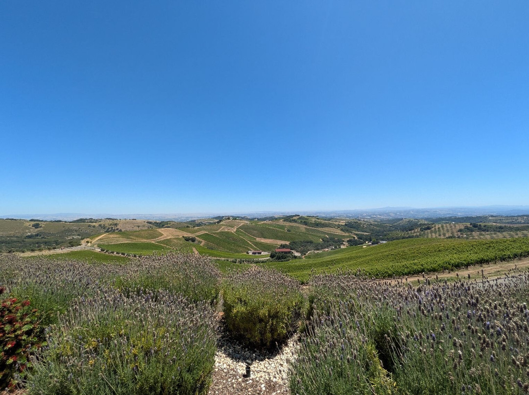 DAOU Vineyards-帕索罗布尔斯必去景点