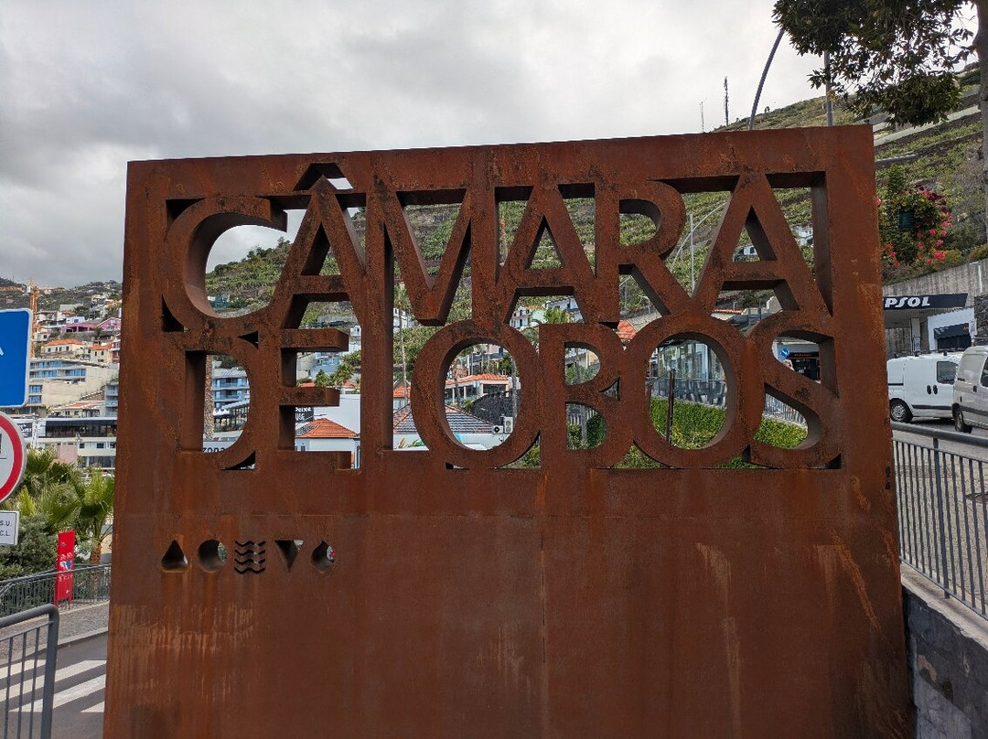 Camara Do Lobos