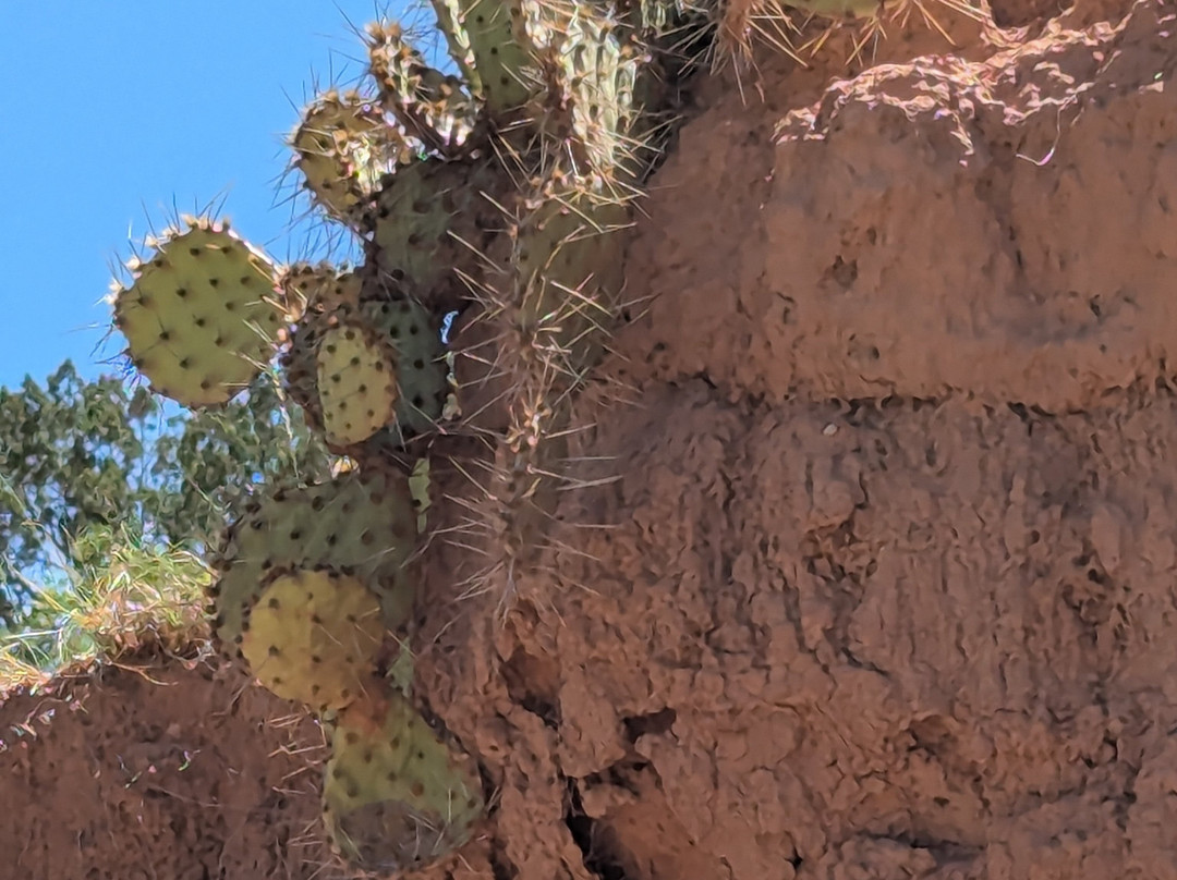 Palo Duro Canyon State Park-Canyon必去景点