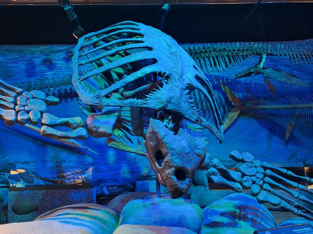 Mountain America Museum of Ancient Life-李海必去景点