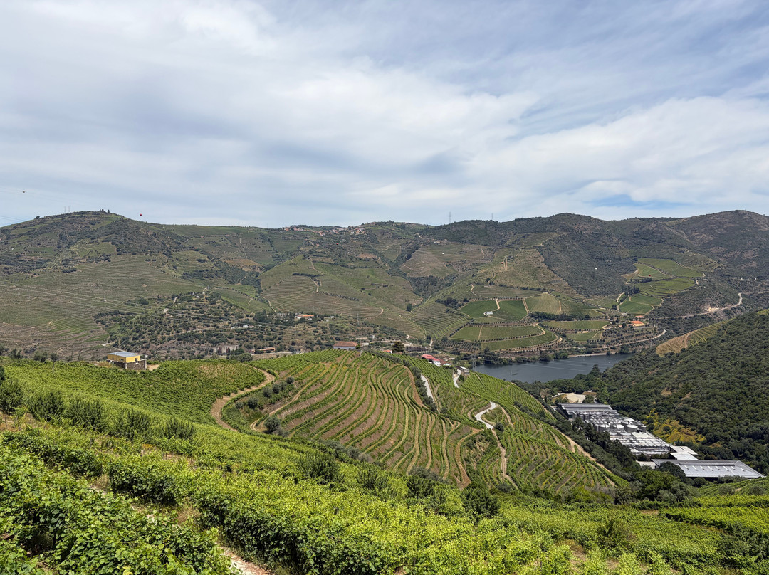 Quinta de Santa Eufémia-Lamego必去景点
