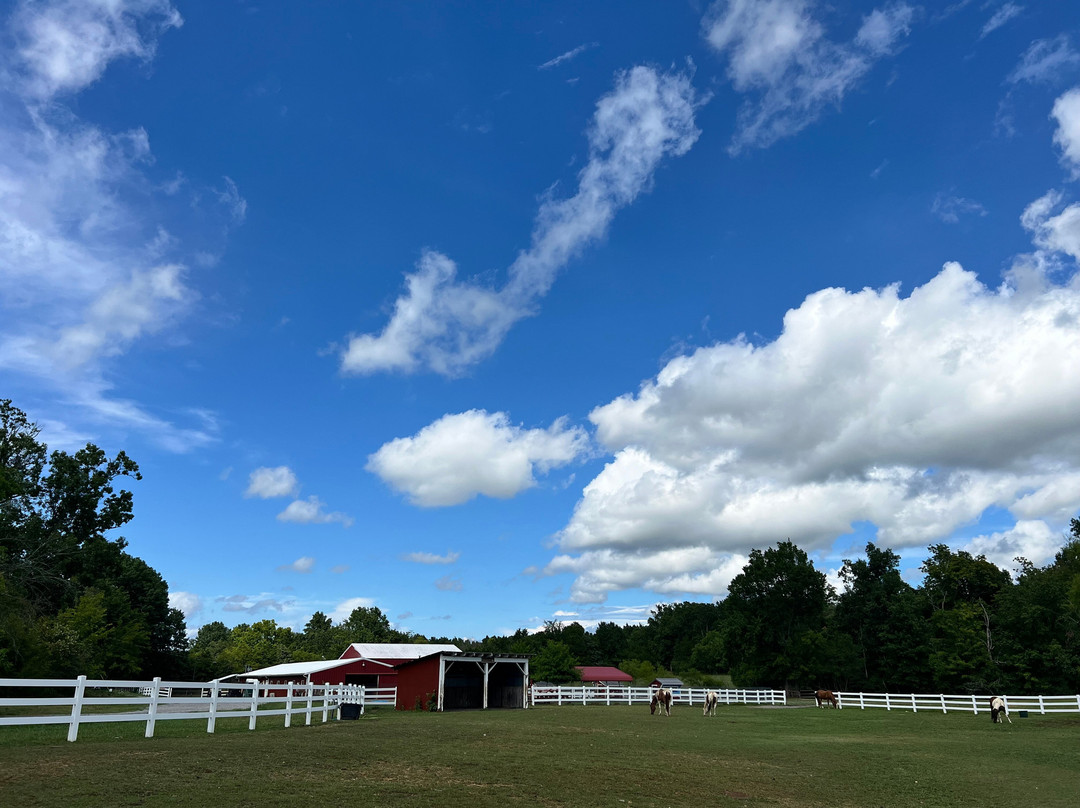The Gentle Barn