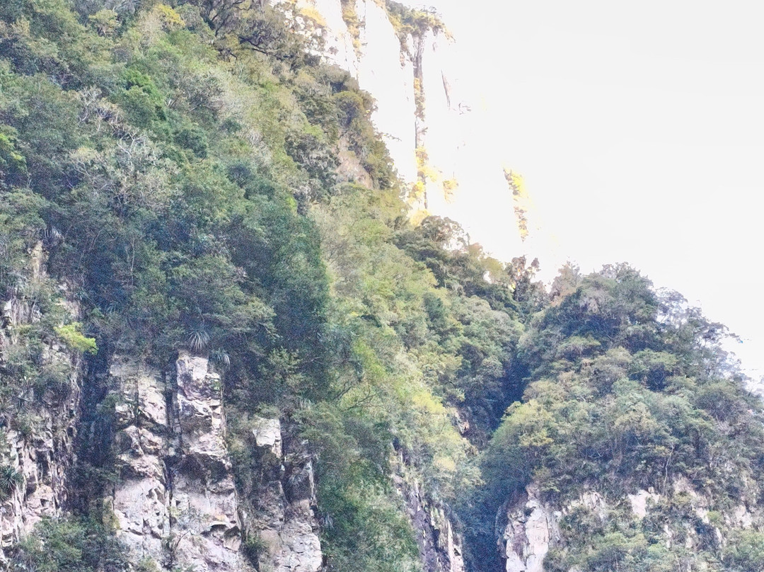 Trilha Do Rio Do Boi-Praia Grande必去景点