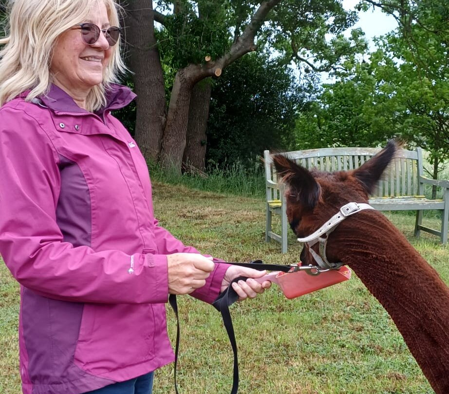The Alpaca Centre at JandJ Alpacas-特伦特河畔纽瓦克必去景点