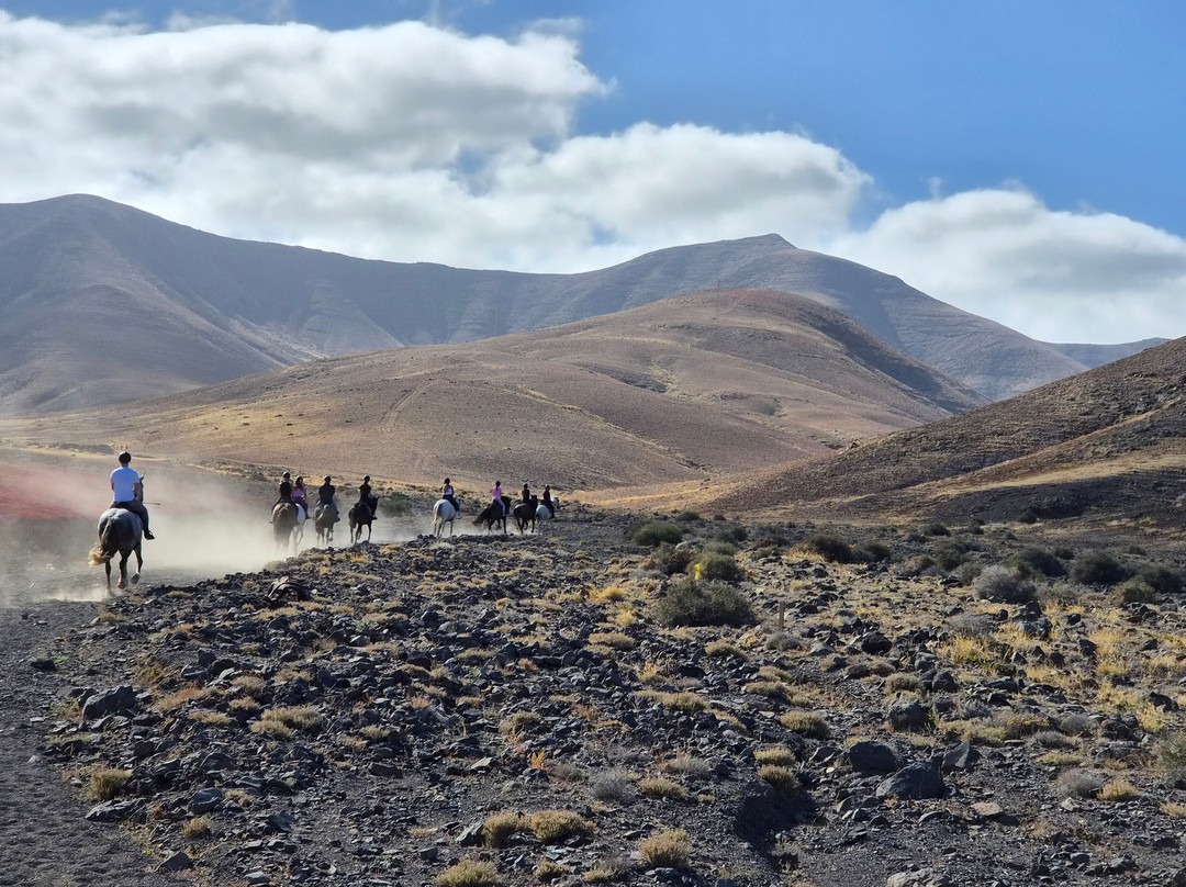 Lanzarote a Caballo-兰萨罗特必去景点