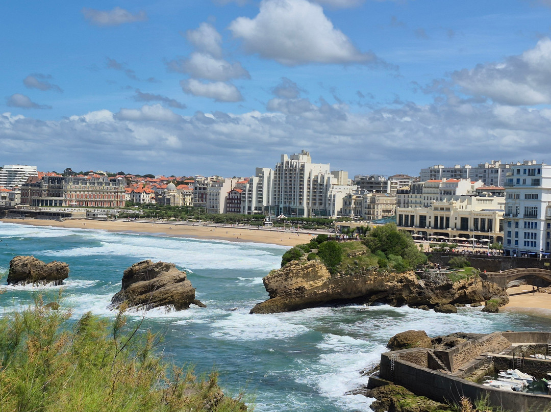 Octopus Biarritz