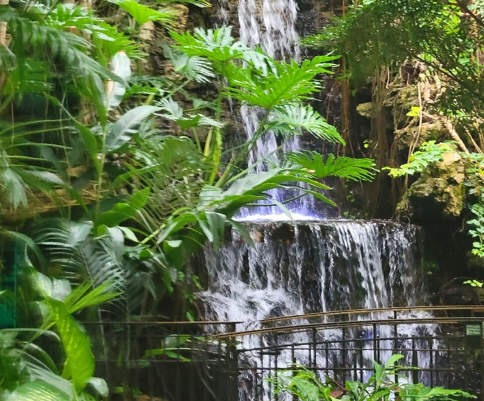 Krohn Conservatory-辛辛那提必去景点