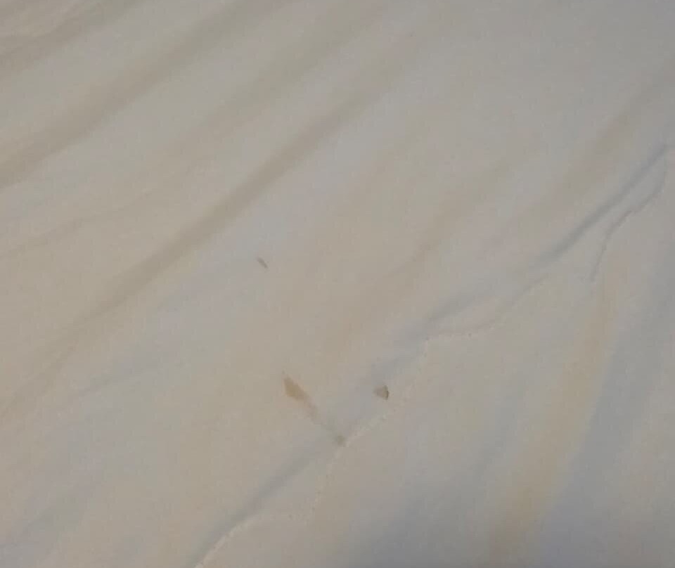 华拉博卡奇卡 - 全包式主图