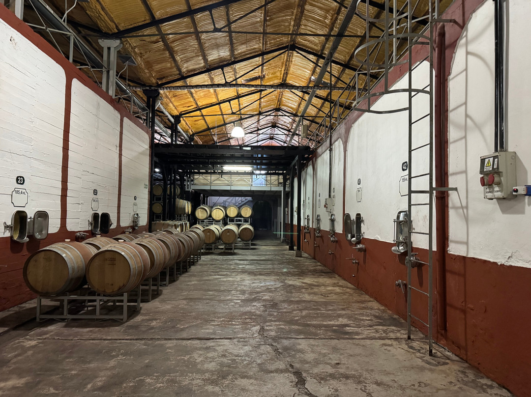 Bodega Alfredo Roca-圣拉斐尔必去景点