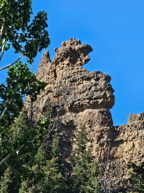 Bill Cody Ranch-旅行者