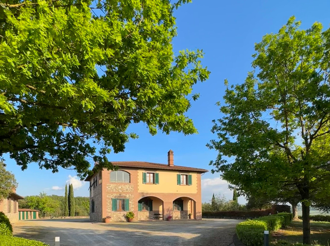 Podere Calcinaia - Tuscany Home & Vineyards