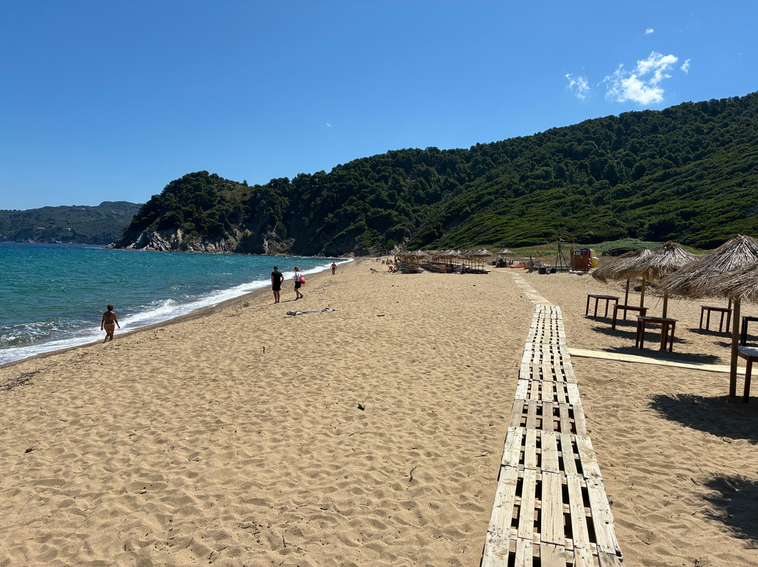 Megalos Aselinos Beach-斯亚索斯必去景点