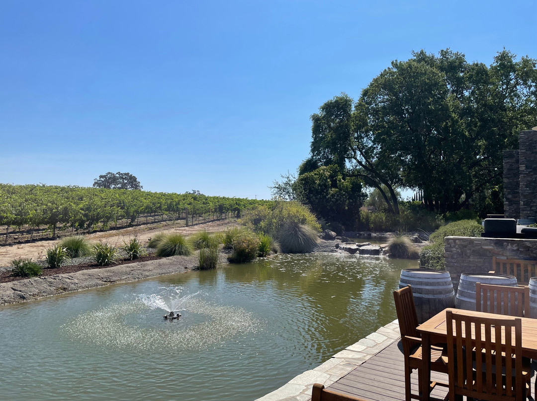 Bianchi Vineyard and Winery-帕索罗布尔斯必去景点