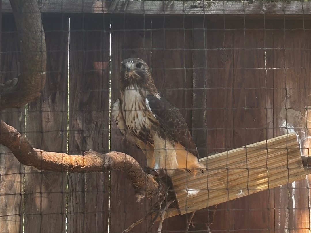 World of Owls-Randalstown必去景点