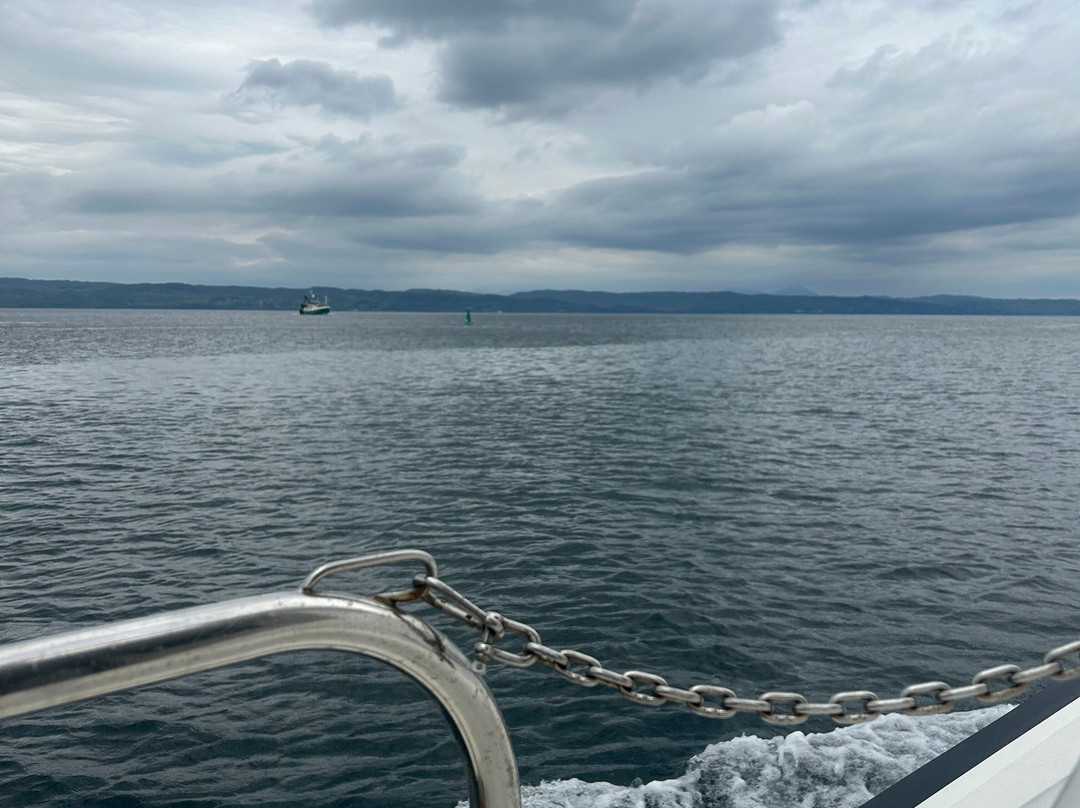 Western Isles Cruises-Mallaig必去景点