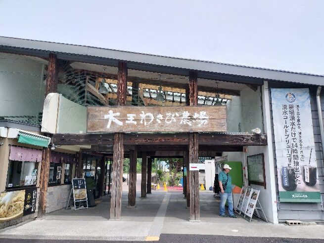 Daio Wasabi Farm-安昙野市必去景点