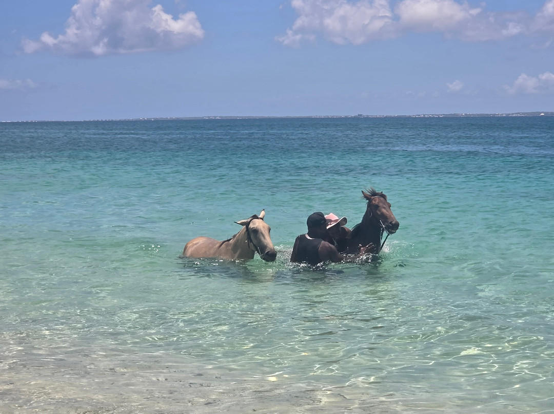 Tropic’s Beach Bar