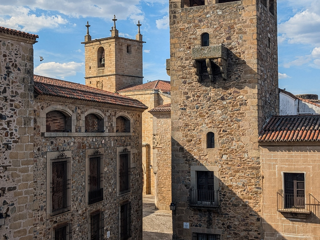 Palace de los Golfines de Abajo-卡塞雷斯必去景点