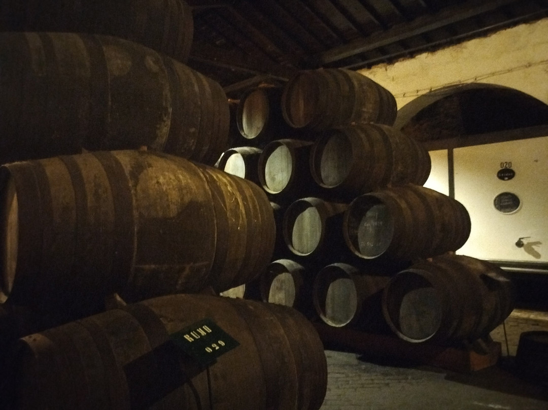 Ferreira Cellars-加亚新城必去景点