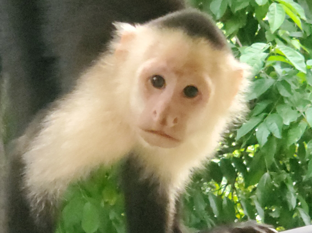 帕拉多自然度假村和温泉主图