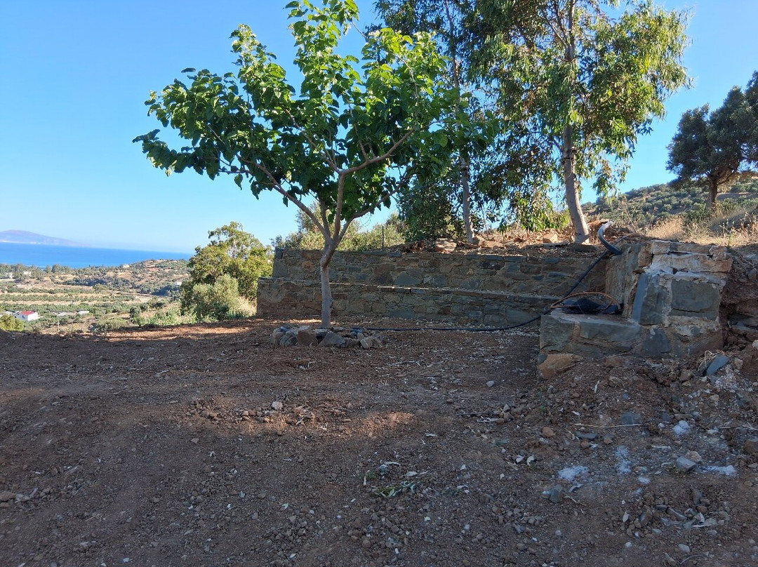 Botaniá - Mediterranean Herb Farm & Experiences-Agia Galini必去景点