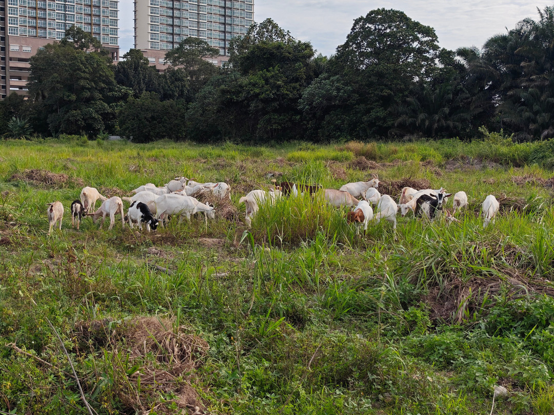 Gentle Farms 温柔农场-Gelang Patah必去景点