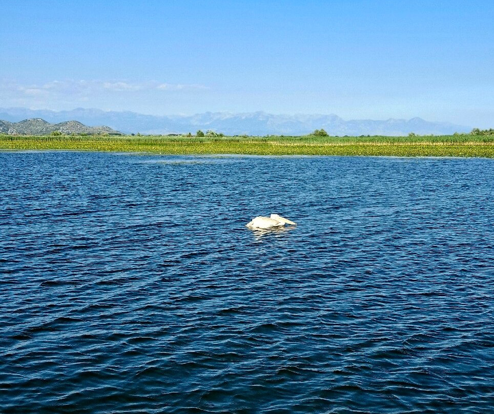 Lake Skadar-黑山共和国必去景点