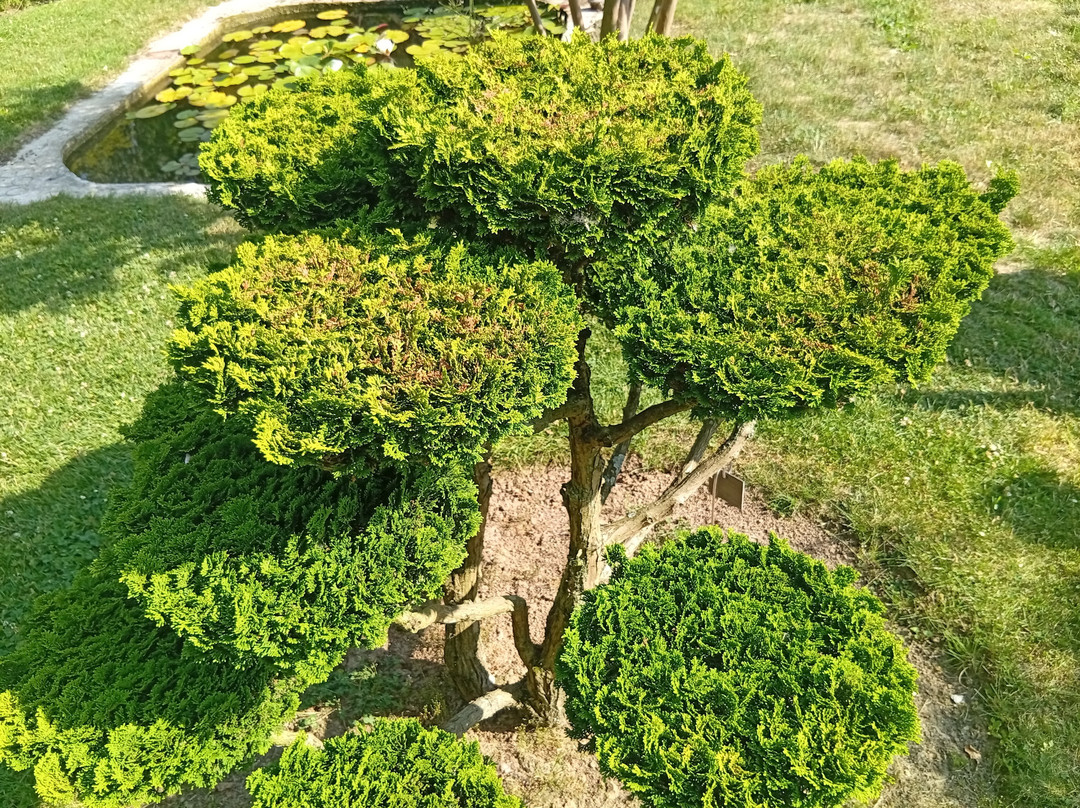 Le Jardin De La Méditation-Saint-Venant必去景点