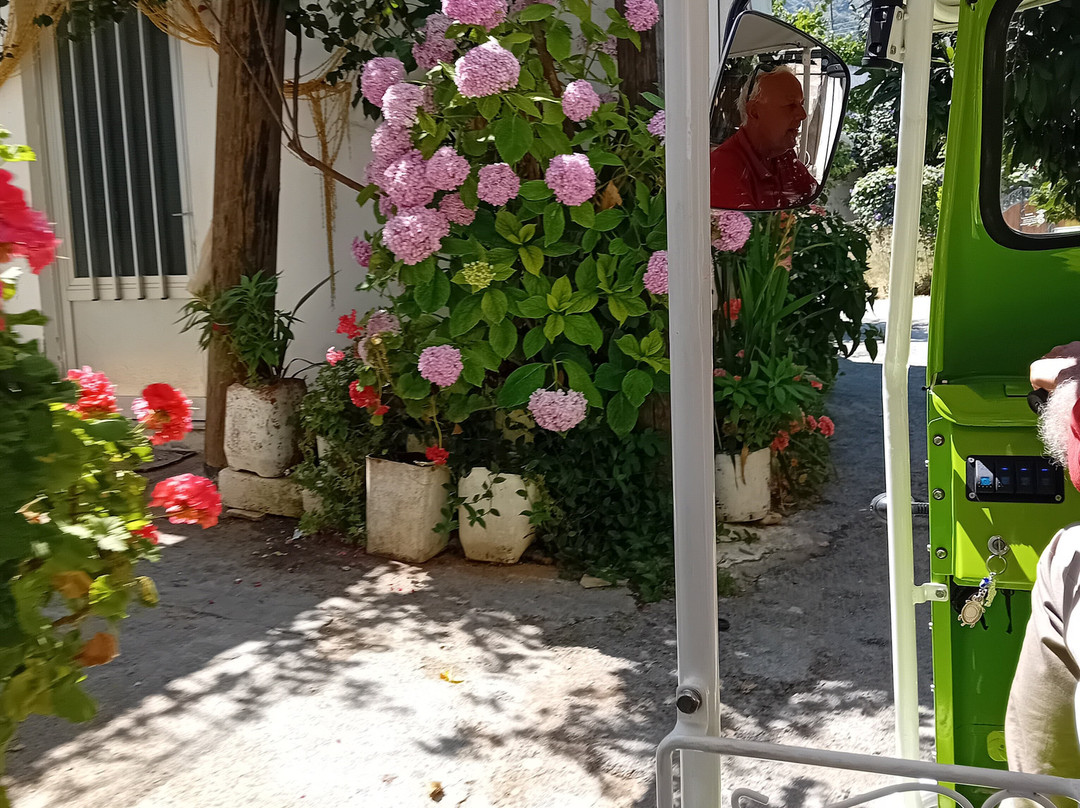 Cretan Tuk Tuk Tours-Piskopiano必去景点