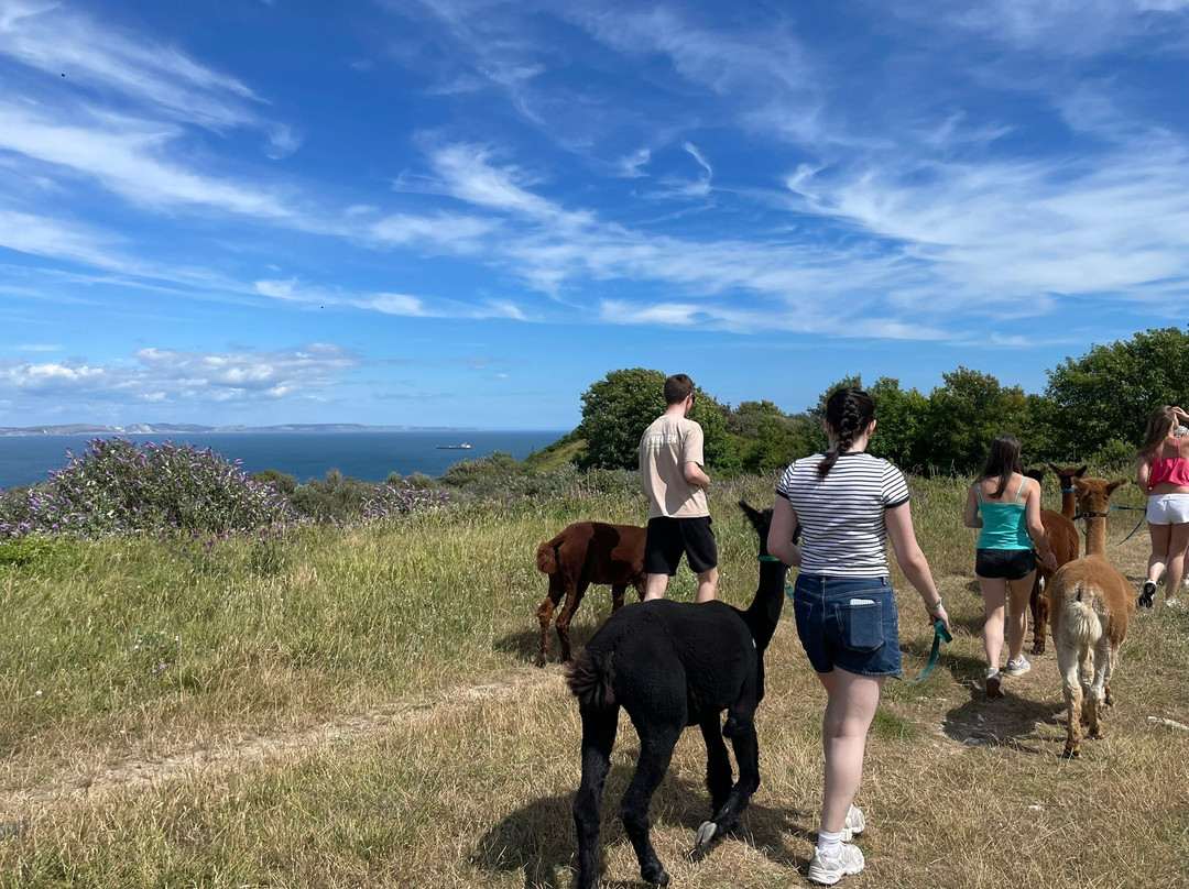 Portland Alpaca Trekking-Weston必去景点
