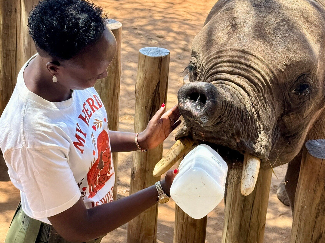 Reteti Elephant Sanctuary-桑布鲁国家保护区必去景点