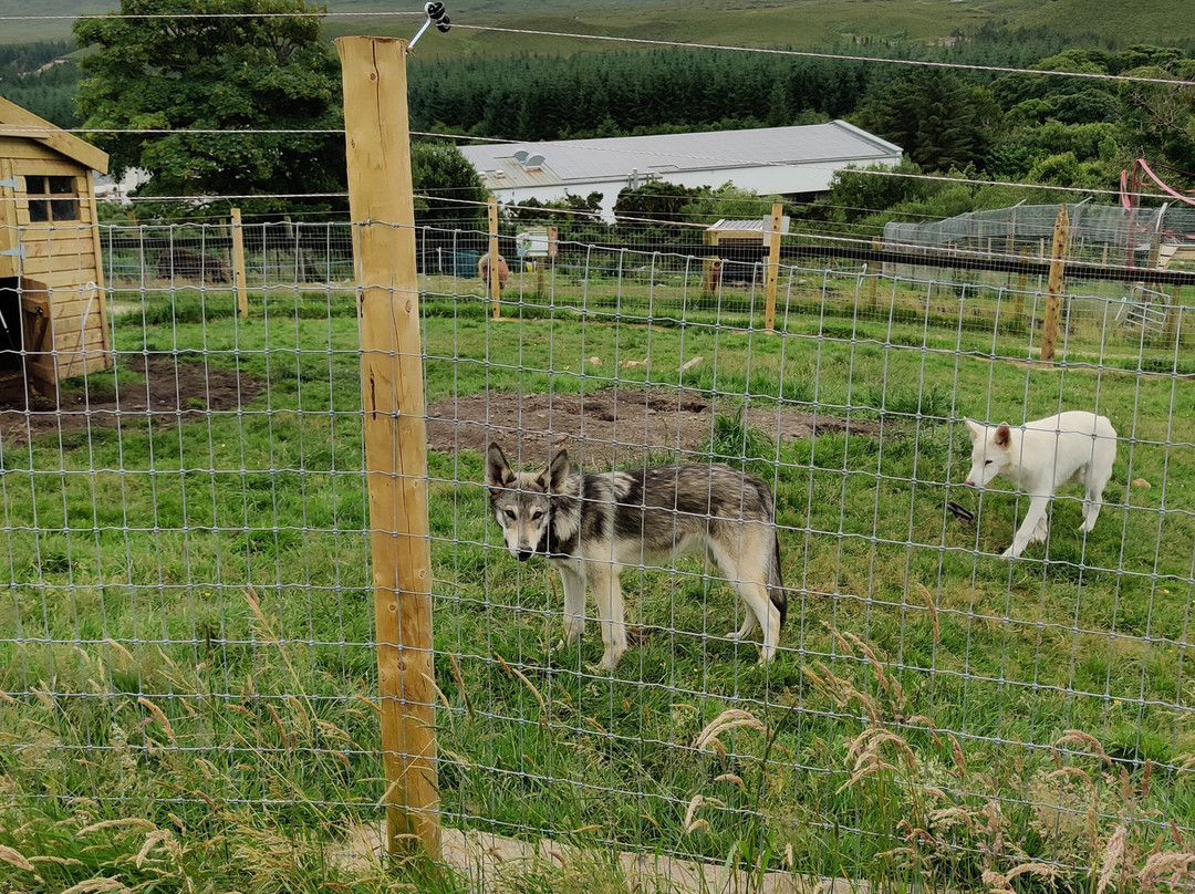 Errigal View Pet Farm-Gweedore必去景点