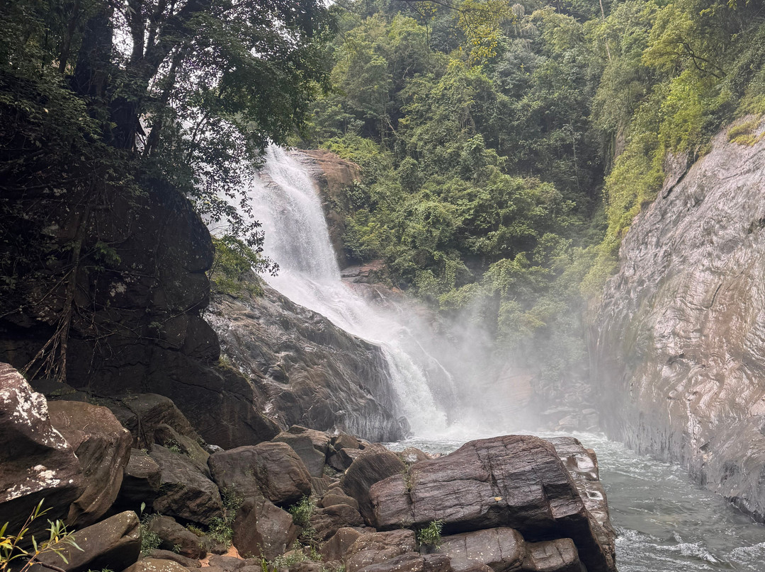 棕榈石休闲旅馆主图