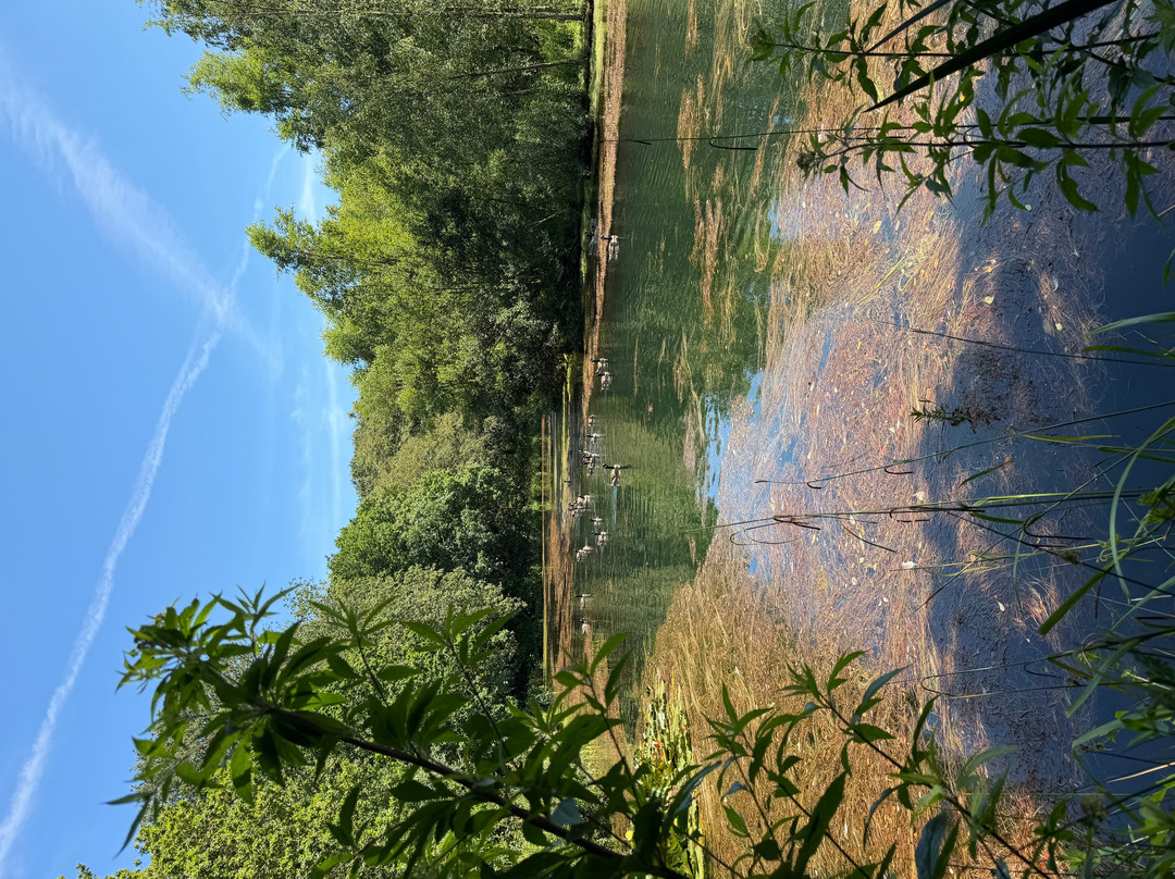 Pinetum Gardens主图