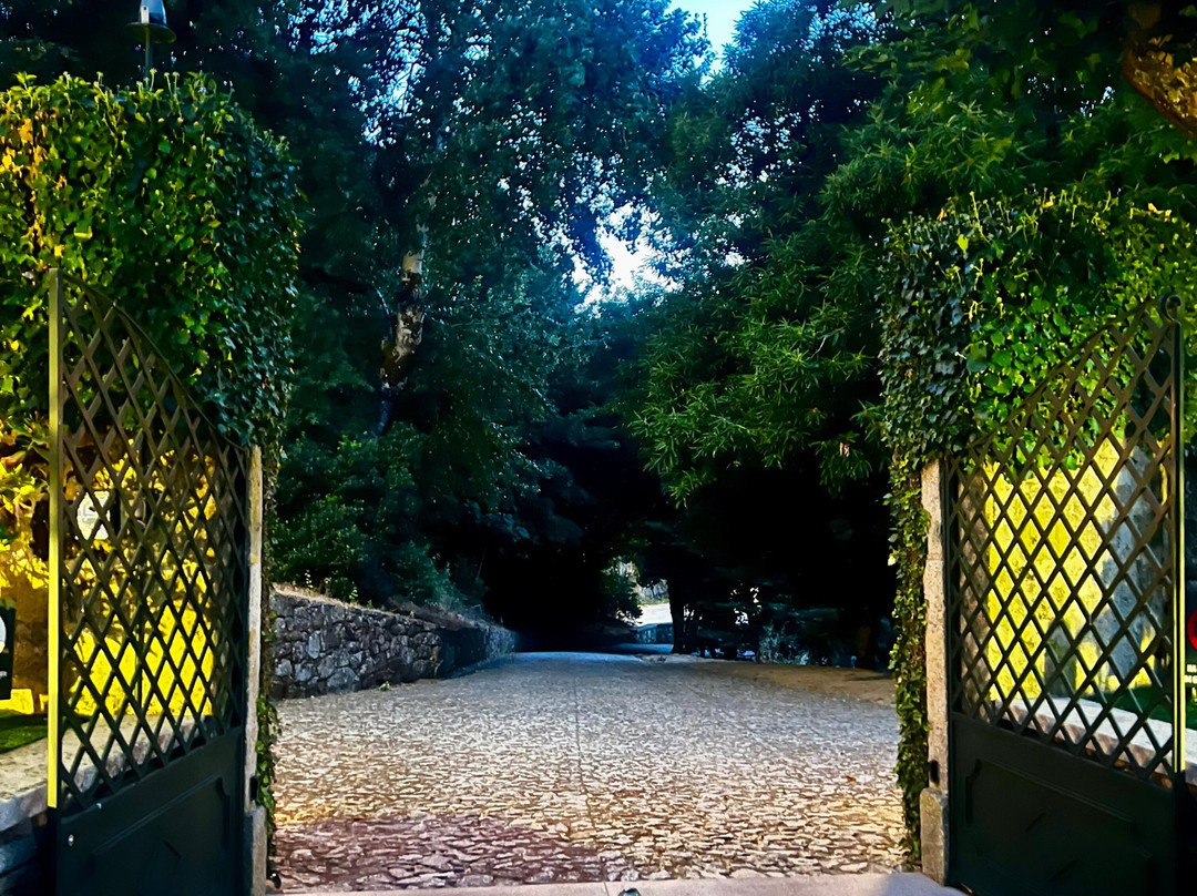 Camping Lamego-Lamego必去景点