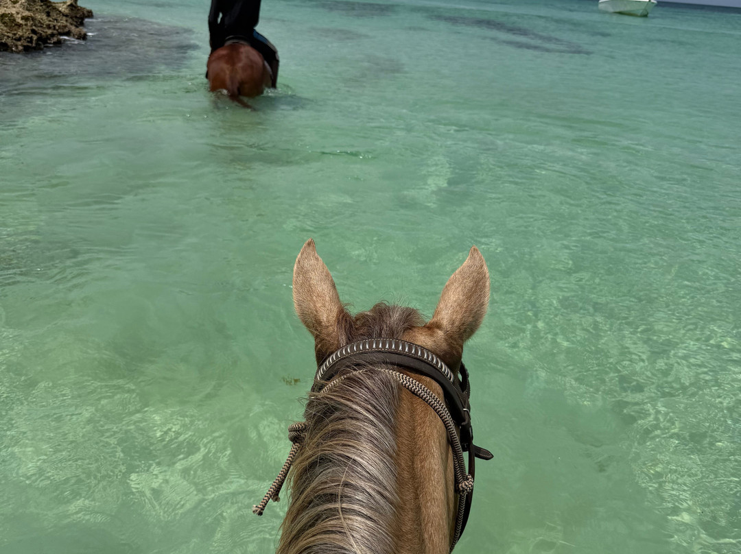 Seaside Stables Anguilla-West End Village必去景点