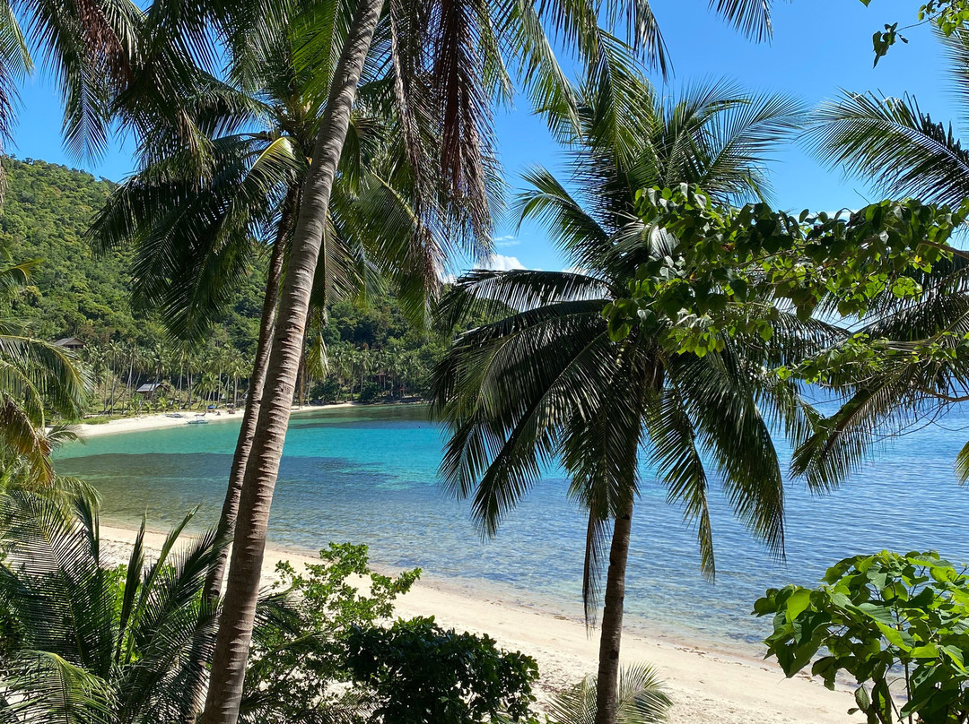 Cacnipa Island-巴顿港必去景点