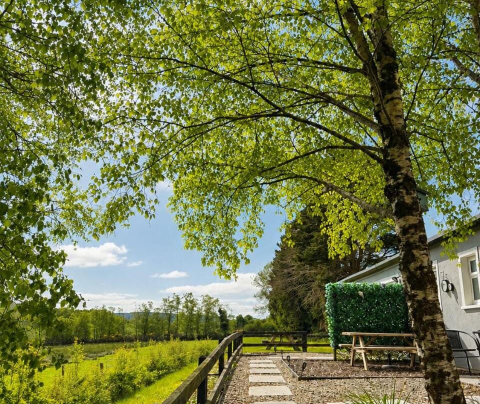 Birch Valley Accommodation Tinahely Wicklow Ireland