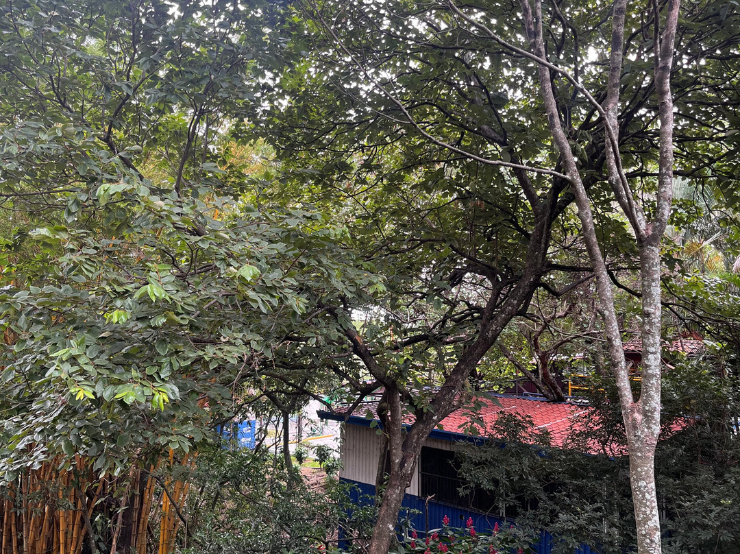 Hacienda La Chimba-圣安娜必去景点