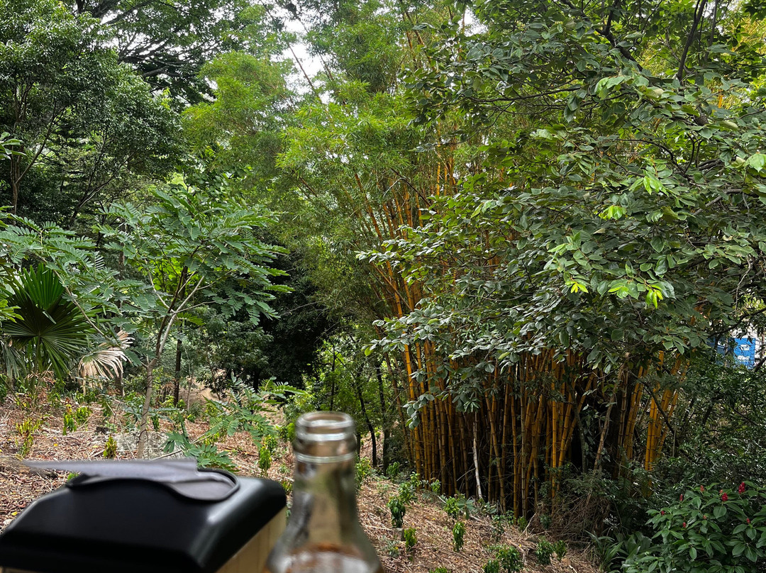Hacienda La Chimba-圣安娜必去景点