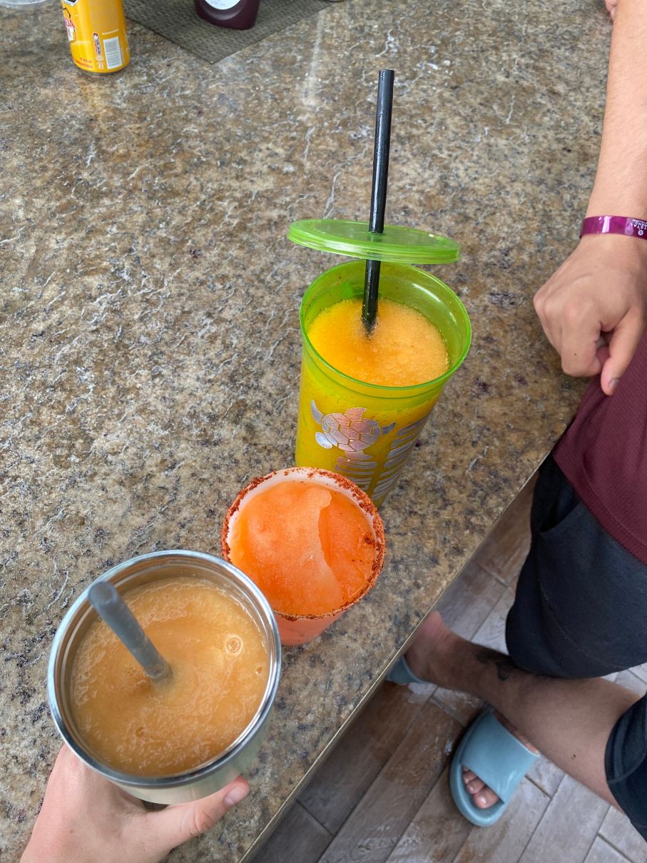 克里斯托新巴亚尔塔大酒店-旅行者