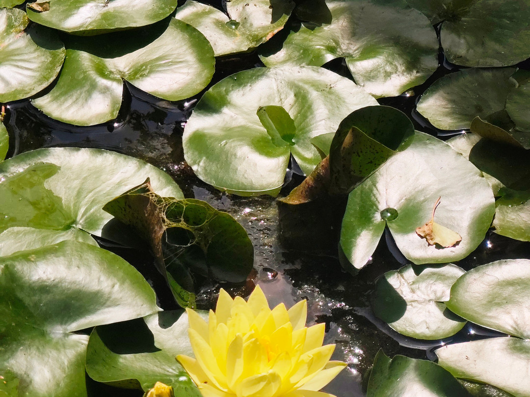 Moulin de la Diversiere, gîtes Avec Piscine en Pleine Nature主图