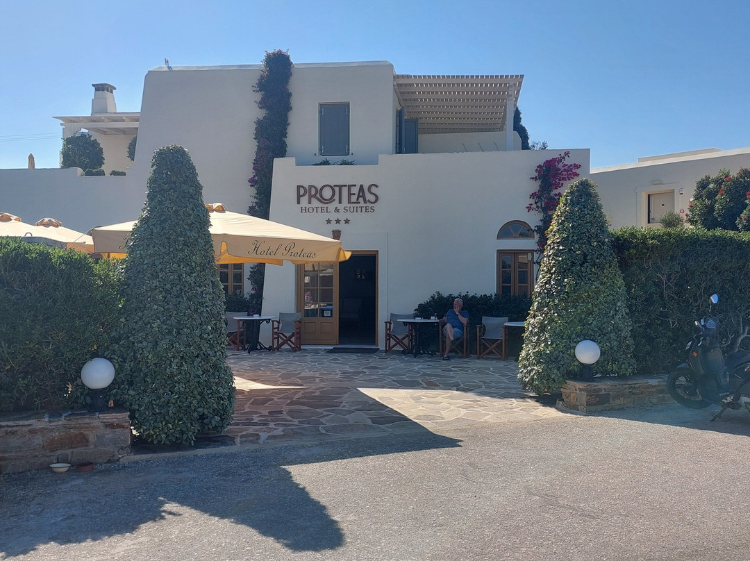 Proteas酒店及套房主图